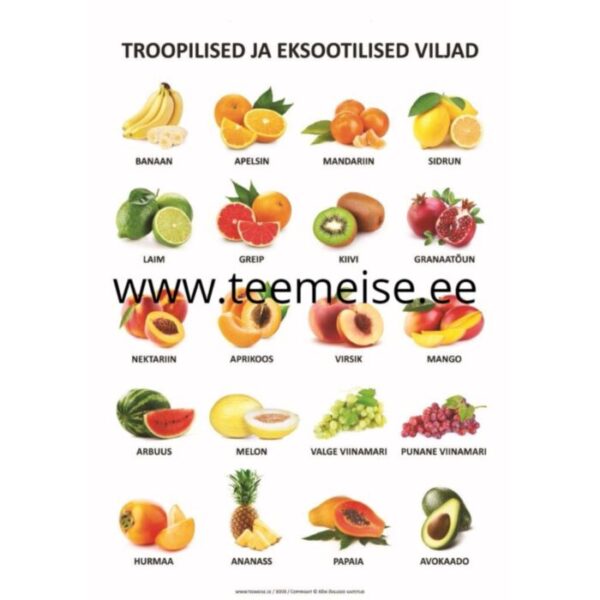 Plakat A1 Troopilised Ja Eksootilised Puuviljad, Pvc